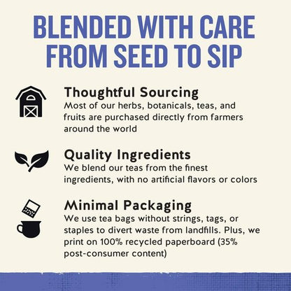 Celestial Seasonings Herb Tea True Blueberry 20 Bag (Pack of 2)