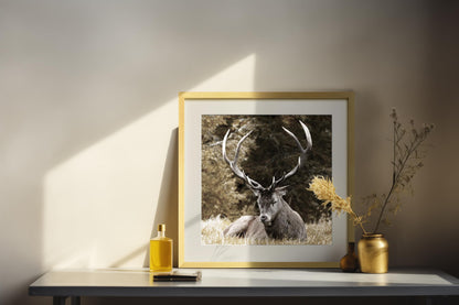 Yaetm 20x20 Gold Picture Frame Matted to 16x16, Set of 3, Thin Large Square Frame for Gallery Wall Display, Hanging Hardware Included (3 Pack, Gold)