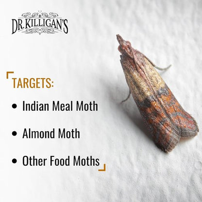 Dr. Killigan's Pantry Moth Traps - Double Potent Pheromone Sticky Traps for Kitchen | 6 Pack, Black