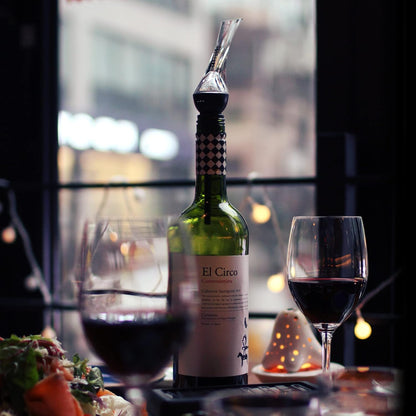Wine Aerator Pourer and Citadel Wine Decanter Bundle by Vintorio