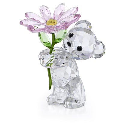 Swarovski Kris Bear A Daisy for You