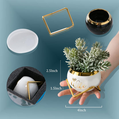 PeraBella 3-Piece Succulent Planter Set - Perfect Romantic Gift for Her | Ideal for Home Decor