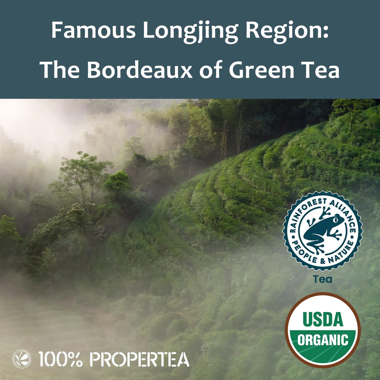 Propertea Organic Green Tea Bags - 100 Count Eco-Friendly, Caffeinated & Rich in Antioxidants | Hot or Iced