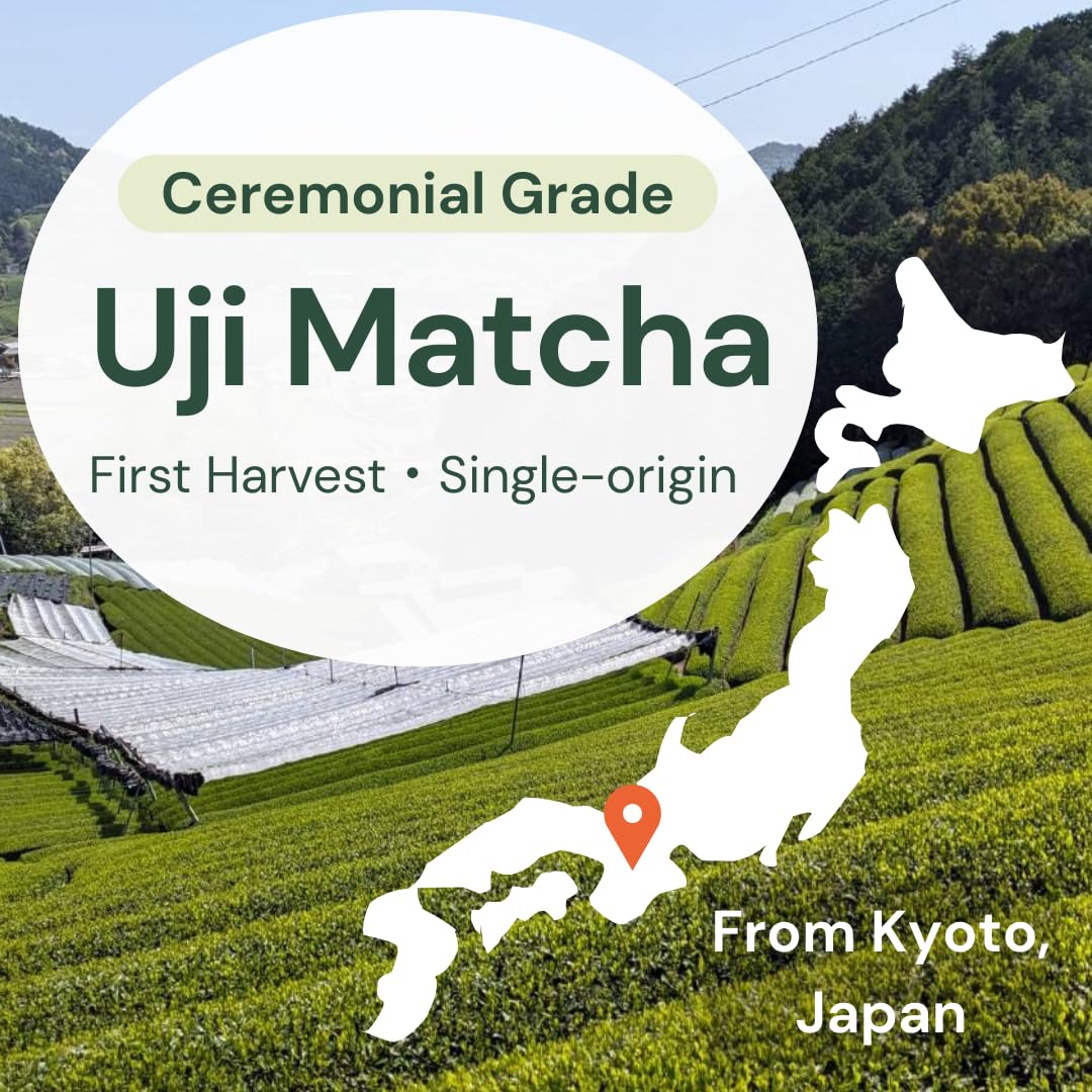 Wako Matcha - Authentic Ceremonial Grade Uji Matcha Green Tea Powder | 40g (1.4 oz) for Café-Quality Drinks