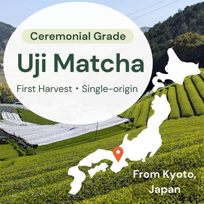 Wako Matcha - Authentic Ceremonial Grade Uji Matcha Green Tea Powder | 40g (1.4 oz) for Café-Quality Drinks