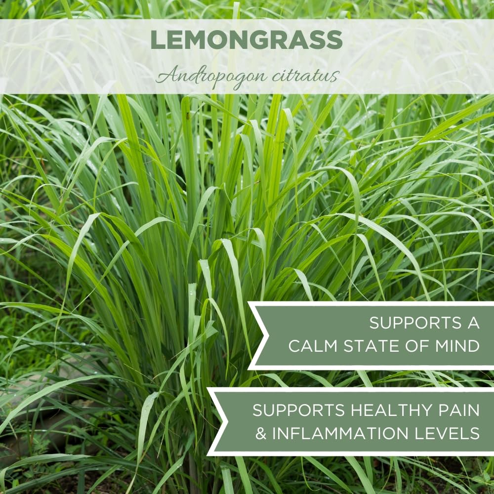 Organic Dried Lemongrass Tea 4 oz. (113g), USDA Certified Organic Lemon Grass Herbs Leaf, Lemin Grass, Te De Limon, Fever Grass, Lemingrass Loose Leaves, Dried Lemongrass Bulk