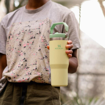 Stanley IceFlow Flip Straw Tumbler with Handle 30 oz | Twist On Lid and Flip Up Straw | Leak Resistant Water Bottle | Insulated Stainless Steel |BPA-Free | Citron