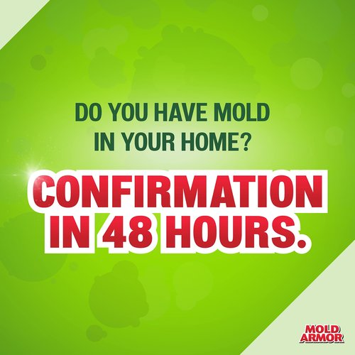 Mold Armor Do It Yourself Mold Test Kit for Home, Test Surfaces, Air Quality, and HVAC, Safe and Easy to Use, Effective Both Indoors and Outdoors