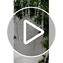 Handmade Clear Glass Icicle Ornaments 100-Piece Set Christmas Tree Decor - Variation of THIS listing