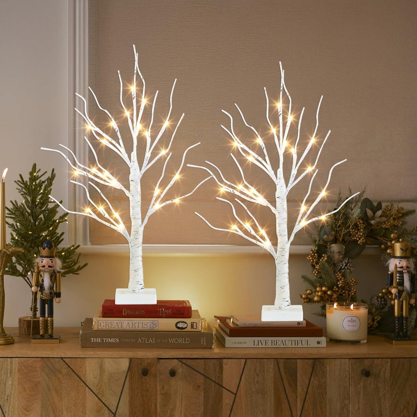 PEIDUO 2FT Birch Tree LED Light Decoration - Warm White Easter Table Lamp | Battery Powered, Timer (2PK)