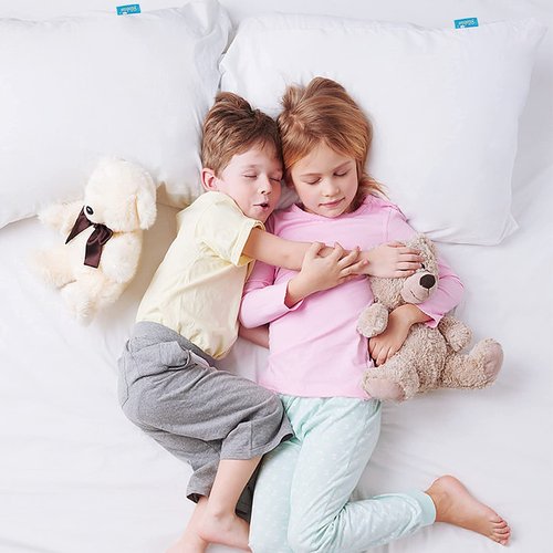 Pillow Protector 100% Waterproof & Noiseless Pillow Cover Pillow Protectors with Zipper Standard Size 2 Pack 20 x 26 Inches Pillow Cases Machine Washable