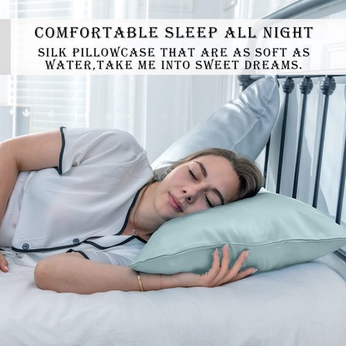 Mulberry Silk Pillowcase for Hair and Skin Queen Size 20"X 30" Pillow Case with Hidden Zipper Soft Breathable Smooth Cooling Silk Pillow Covers for Sleeping (Haze Blue,Queen,1Pcs)