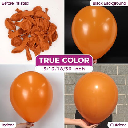Bezente Burnt Orange Balloons Latex Party Balloons - 100 Pack 12 inch Round Helium Dusty Retro Terracotta Rust Autumn Boho Balloon for Wedding Graduation Birthday Fall Themed Party Decorations