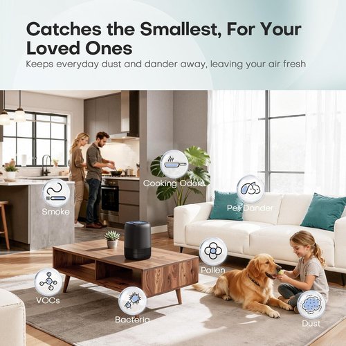 Air Purifier - High Efficiency Filter for Up to 1076 Ft² | Compact & Quiet Design for Pets, Pollen & Smoke - Black