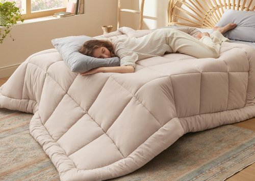 Bedsure Comforter Duvet Insert - Quilted Comforters Queen Size, All Season Duvet, GentleSoft Down Alternative Bedding Blanket, with 8 Tabs, Gifts for Women/Men, Beige, Queen 88 x 88 Inches