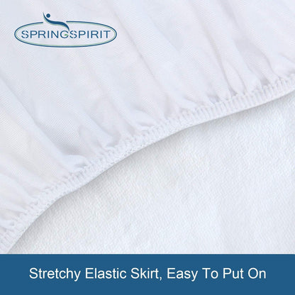 Skiennix Queen Mattress Protector - Waterproof Fitted Cover with Absorbent Terry | 18'' Deep Pocket