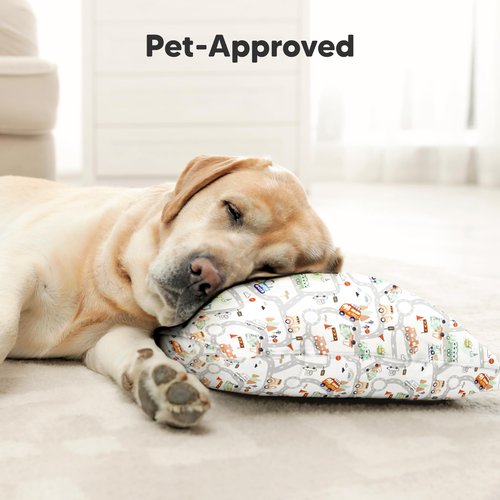 Toddler Pillow with Pillowcase - 13x18 My Little Dreamy Kids Travel Bed Pillows for Sleeping, Organic Cotton Small Pillowcase, Soft & Breathable, Machine Washable, Toddlers 2-5 years old (Roadway)