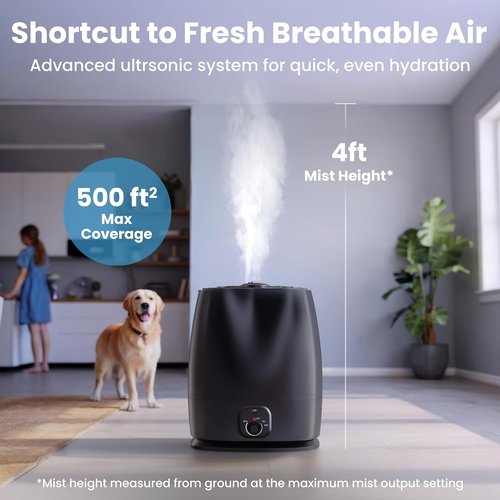 Everlasting Comfort 6L Humidifier - Quiet 50HR Runtime | No-Filter Cool Mist for Large Rooms, Baby Nursery & Allergies