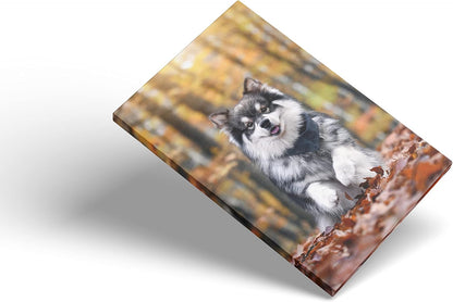 Skiennix Custom Canvas Prints - Personalized Wall Art for Bedroom & Living Room | 5" W x 7" H, Gift Wrapping Available