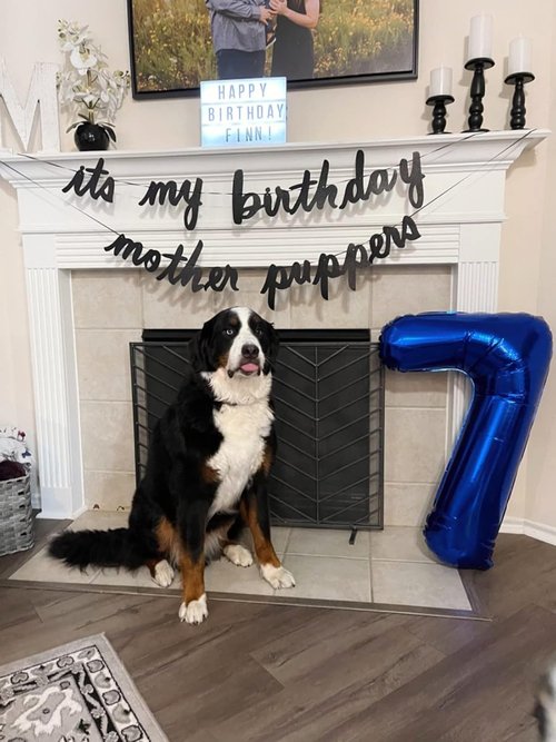 40 Inch Navy Blue Number 7 Balloons - Perfect for Birthday, Engagement & Wedding Celebrations