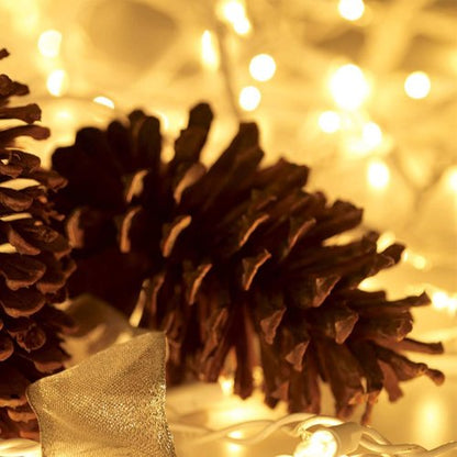 HISHINY Christmas Lights - 100 Count Mini Clear String Lights | 32ft White Wire for Indoor/Outdoor Decor