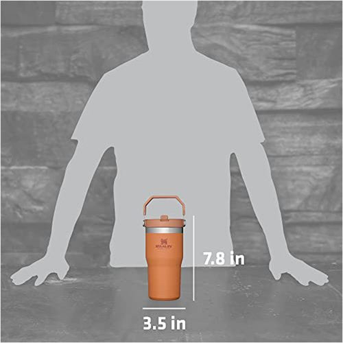 Stanley IceFlow Stainless Steel Tumbler - Vacuum Insulated Water Bottle for Home, Office or Car Reusable Cup with Straw Leak Resistant Flip Cold for 12 Hours or Iced for 2 Days, Ochre, 20 OZ / 0.59 L