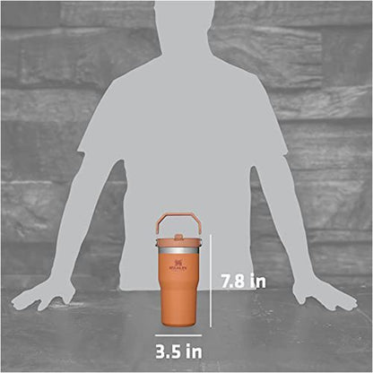 Stanley IceFlow Stainless Steel Tumbler - Vacuum Insulated Water Bottle for Home, Office or Car Reusable Cup with Straw Leak Resistant Flip Cold for 12 Hours or Iced for 2 Days, Ochre, 20 OZ / 0.59 L