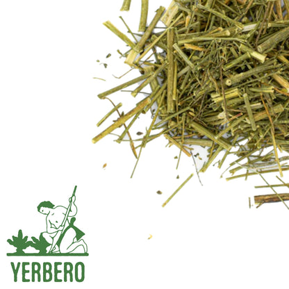 Yerbero - Premium Moronel Planta De La Vida Ground 5 oz (142g) | Moronel En Polvo (Pura Hoja) | Ready To Mix - 100% Pure Leaf, No Fillers, No Additives, Non GMO's , Dried Leaves Powder. Spice / Seasoning | From Ensenada Mexico.