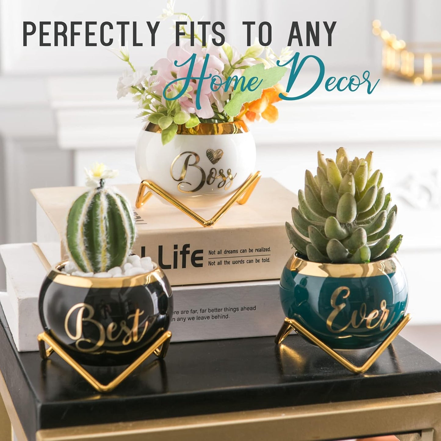 PeraBella Boss Gifts for Women | Succulent Pots - Perfect Birthday & Boss's Day Gifts - 3 Pcs