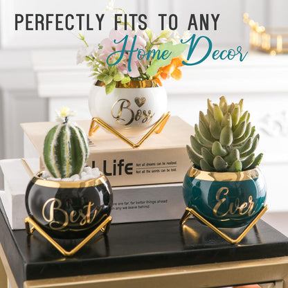 PeraBella Boss Gifts for Women | Succulent Pots - Perfect Birthday & Boss's Day Gifts - 3 Pcs