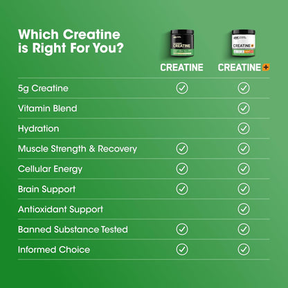 Optimum Nutrition Micronized Creatine Monohydrate Powder - Unflavored, 120 Servings, 600 Grams