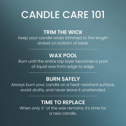 Yankee Candle Bayside Cedar Scented Candle, 22oz Large Jar with up to 150 Hour Burn Time, Giftable