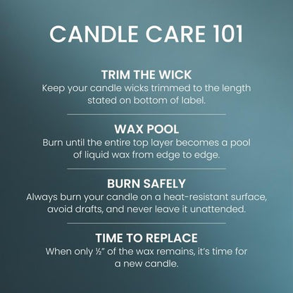 Yankee Candle Bayside Cedar Scented Candle, 22oz Large Jar with up to 150 Hour Burn Time, Giftable