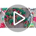 Christmas Floral Picks with Pine Cones and Red Berries, 30 Pack for Holiday Decoration