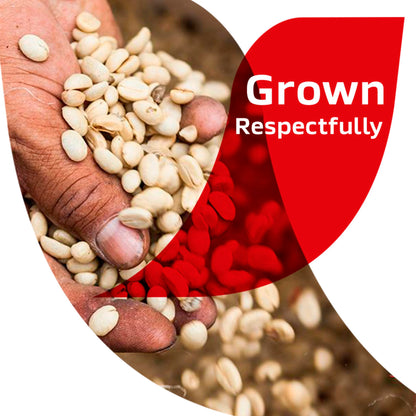 NESCAFE Cafe de Olla, Cinnamon Flavored Instant Coffee, 6.7 oz. Jar