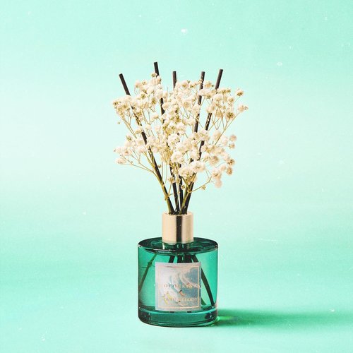 Cocorrína Reed Diffuser - Hawaii Melody 6.7 Fl. Oz Set with 8 Sticks & Preserved Baby's Breath for Home Decor