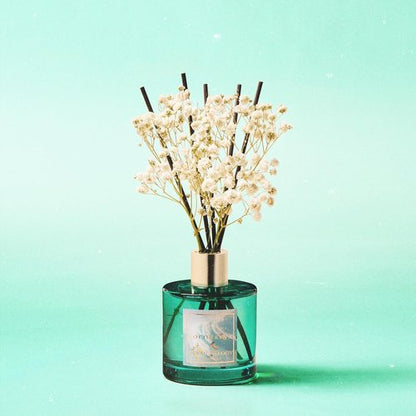 Cocorrína Reed Diffuser - Hawaii Melody 6.7 Fl. Oz Set with 8 Sticks & Preserved Baby's Breath for Home Decor