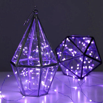 Skiennix 12 Pack Fairy Lights - Battery Operated 7FT Waterproof Silver Wire String Lights | Ideal for Indoor & Outdoor Decor