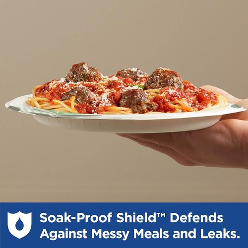 Dixie 8.5 Inch Medium-Weight Paper Plates - Pathways Design, 500 Count | Durable & Disposable