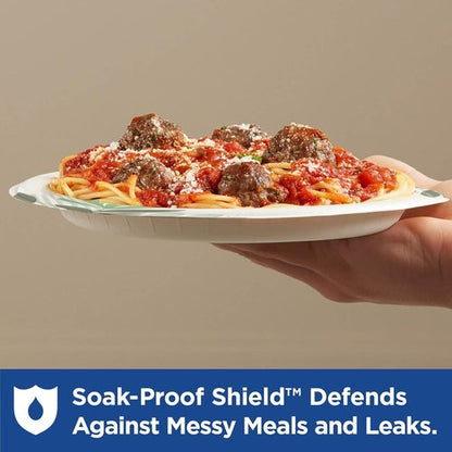 Dixie 8.5-Inch Medium-Weight Disposable Paper Plates - Pathways Design | 300 Count Bulk Case