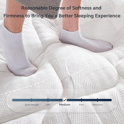 Regine Switzerland Queen Size Mattress - 12 Inch Hybrid with Pocket Springs for Ergonomic Support