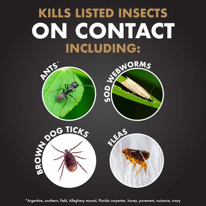 Spectracide Immunox Fungus Plus Insect Control - Dual Action Hose-End Concentrate, 32 Oz, 6 Pack