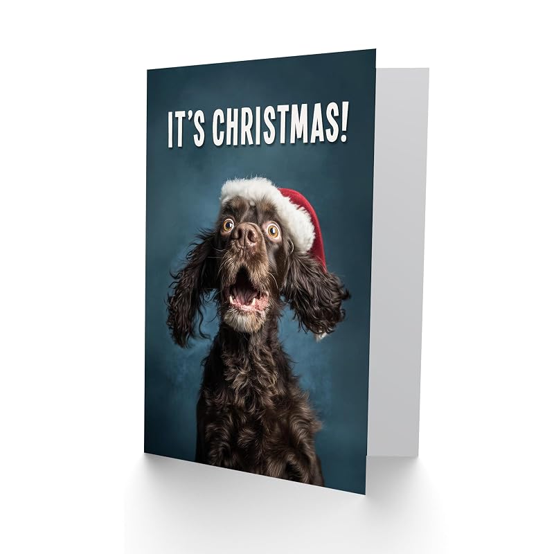 Cocker Spaniel Christmas Card in Santa Hat - Blank Inside Card