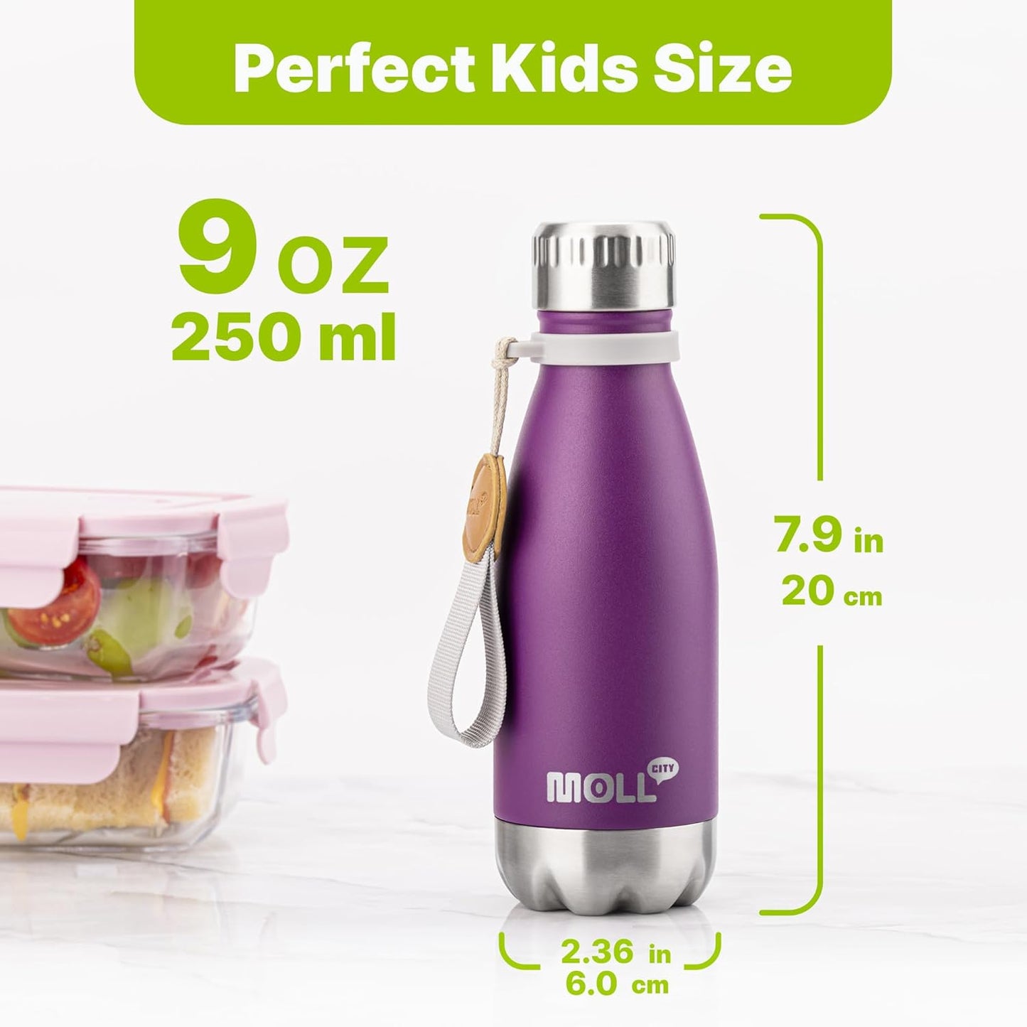 Skiennix Kids Water Bottle - 9 oz Stainless Steel Vacuum Insulated Mini Bottle | Dark Purple, Leak Proof