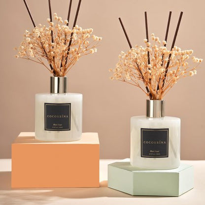 Cocorrína Premium Reed Diffuser Set - Black Forest Scent with Preserved Baby's Breath | 6.7oz, 2 Packs for Home Décor