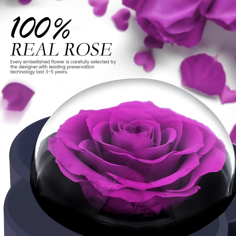 Preserved Rose with Heart Necklace Gift — Purple ONE ROSE