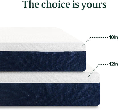 ZINUS 10 Inch Queen Hybrid Mattress - Cooling Comfort, Medium Firm, Fiberglass Free, Motion Isolation