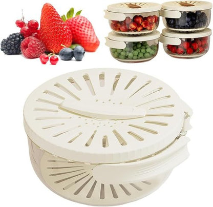 2025 Upgrade New Kitchen Draining Basket, Multi-use Fruit and Vegetable Washing Bowl with Handle, 2 in 1 Draining and Preservation Container with Strainer and Lid (White,1)
