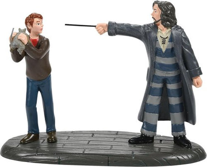 Department 56 Harry Potter Figurine - Come Out and Play Peter Sirius Black, 3.05 Inch, Multicolor