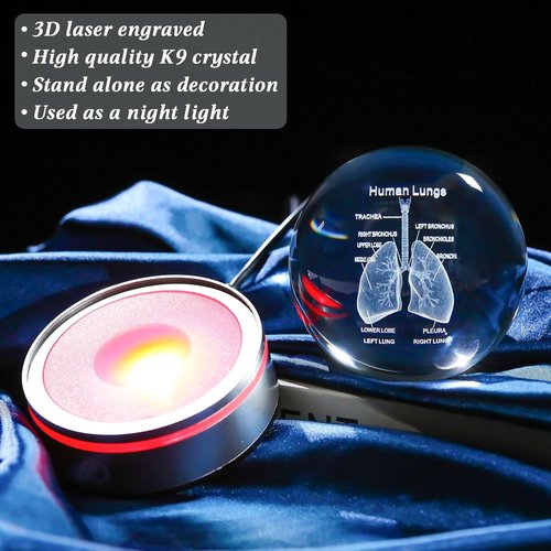 Enjinkail 3D Human Lung Model - Laser Etched Glass Anatomical Figurine | Doctor Gifts with LED Base